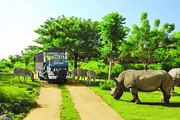 Vinpearl Land Safari là vườn thú mở, bán hoang dã đầu tiên ở Việt Nam.