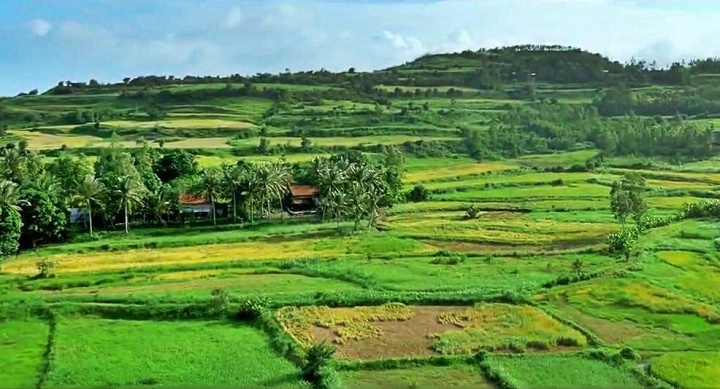 Tour du lịch Quy Nhơn - Phú Yên 4 ngày 4 đêm - Tôi thấy hoa vàng trên cỏ xanh