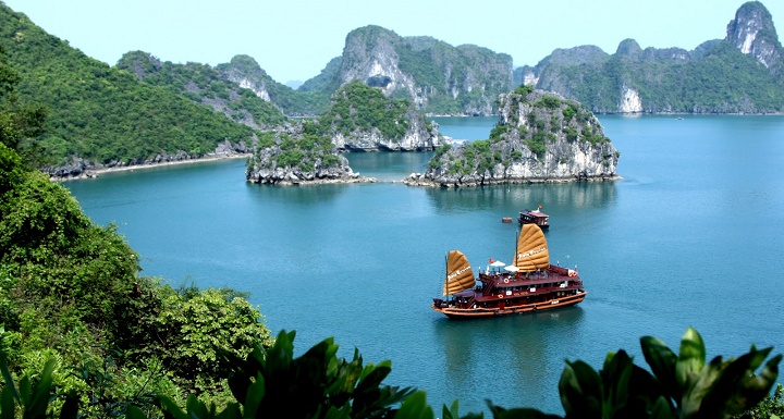 vinhhalong